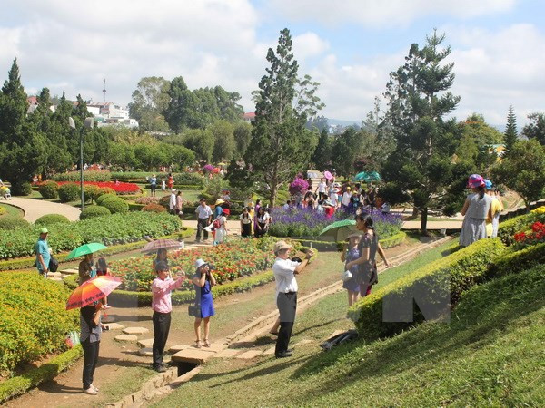 Promocionan Té y Seda de Lam Dong en Festival de Flores Da Lat ảnh 1