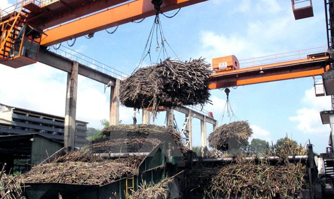 Vietnam y Taiwán (de China) refuerzan colaboración en industria ảnh 1