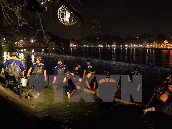 Realizan limpieza de lago Hoan Kiem en Hanoi ảnh 1 Realizan limpieza de lago Hoan Kiem en Hanoi ảnh 1