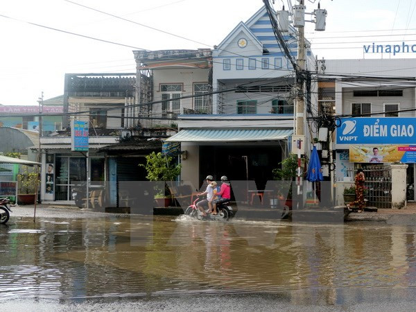 Reporteros vietnamitas mejoran habilidades profesionales en condiciones desfavorables ảnh 1 Reporteros vietnamitas mejoran habilidades profesionales en condiciones desfavorables ảnh 1