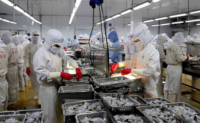 Exportaciones de mariscos vietnamitas alcanzarán ocho mil millones de dólares en 2017 ảnh 1 Exportaciones de mariscos vietnamitas alcanzarán ocho mil millones de dólares en 2017 ảnh 1