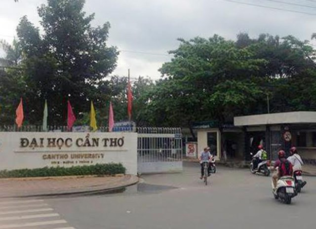 Debaten en Vietnam tendencia de desarrollo de educación superior ảnh 1