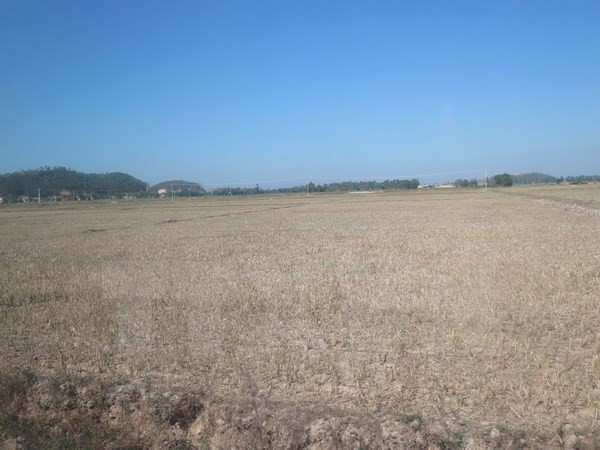 Vietnam se esfuerza por mejorar adaptación al cambio climático y gestión del riesgo de desastres naturales ảnh 1