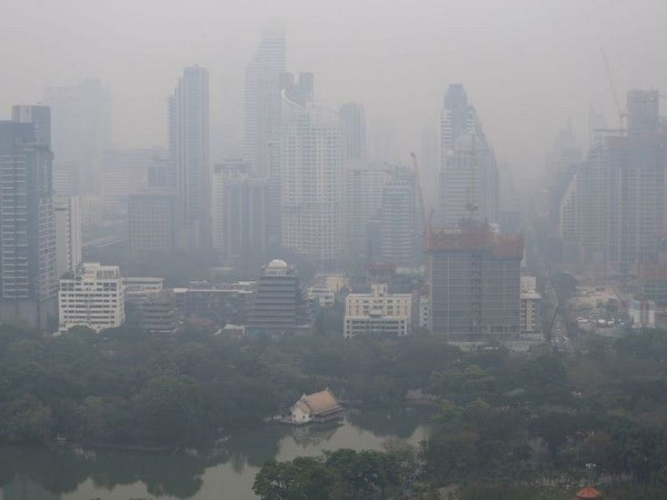 Bangkok en alerta por contaminación del aire ảnh 1 Bangkok en alerta por contaminación del aire ảnh 1
