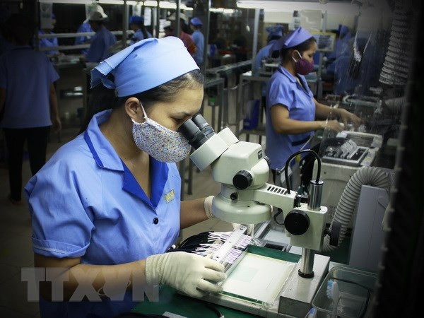 Países Bajos ayuda a Ciudad Ho Chi Minh en desarrollo de Sistemas Microelectromecánicos ảnh 1