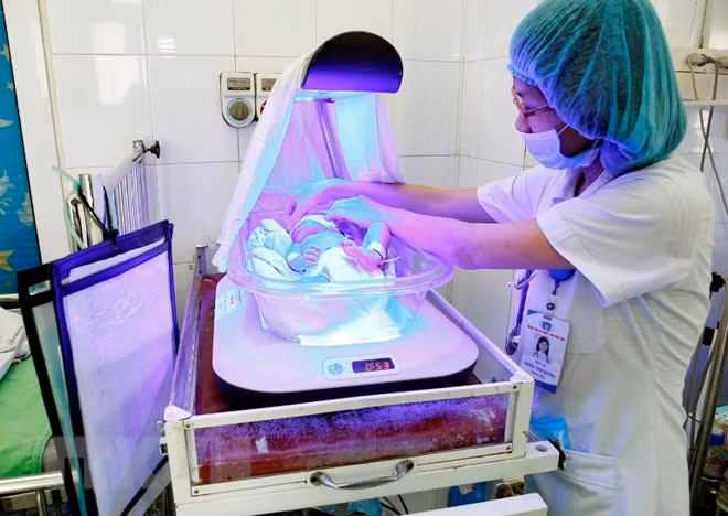 Población de Vietnam llegará a 94,7 millones este año ảnh 1