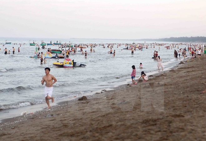 Provincia centrovietnamita de Nghe An protege recursos marinos ảnh 1 Provincia centrovietnamita de Nghe An protege recursos marinos ảnh 1