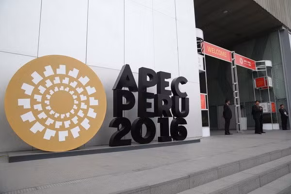 Vietnam desempeña importante rol en marco de APEC ảnh 1