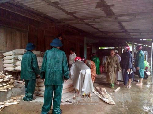 Debaten en Vietnam soluciones financieras para riesgos de desastres naturales ảnh 1