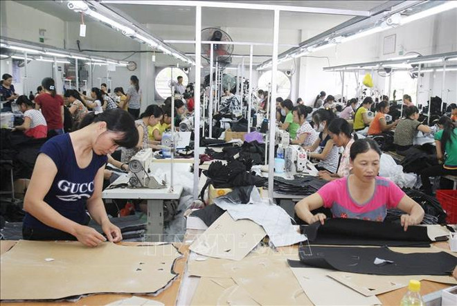 Prospera comercio entre Vietnam y España en primeros ocho meses de 2022 ảnh 1 Prospera comercio entre Vietnam y España en primeros ocho meses de 2022 ảnh 1