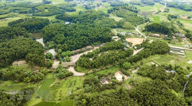 Reino Unido dispuesto a ayudar a Vietnam en cumplimiento de compromisos asumidos en la COP26 ảnh 2 Reino Unido dispuesto a ayudar a Vietnam en cumplimiento de compromisos asumidos en la COP26 ảnh 2