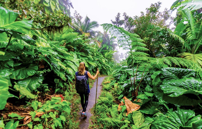 Turismo sostenible: Revelan tendencias de viajes en 2022 ảnh 1 Turismo sostenible: Revelan tendencias de viajes en 2022 ảnh 1