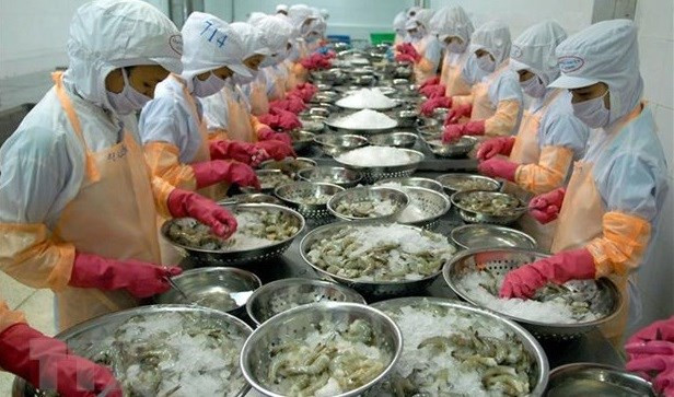 Buena expectativa para cooperación económica entre Vietnam y España ảnh 1