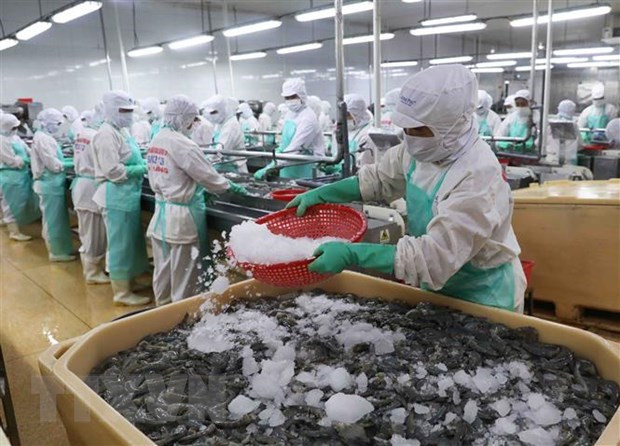 Acuerdo RCEP crea efectos positivos para exportaciones de mariscos de Vietnam ảnh 1 Acuerdo RCEP crea efectos positivos para exportaciones de mariscos de Vietnam ảnh 1