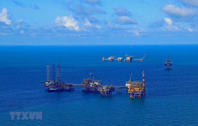 Aprueban la Estrategia para el desarrollo de la ciencia, tecnología e innovación hasta 2030 ảnh 6