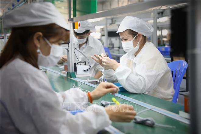 Quinta parte: Estrategia para el desarrollo de la ciencia, tecnología e innovación hasta 2030 ảnh 1 Quinta parte: Estrategia para el desarrollo de la ciencia, tecnología e innovación hasta 2030 ảnh 1