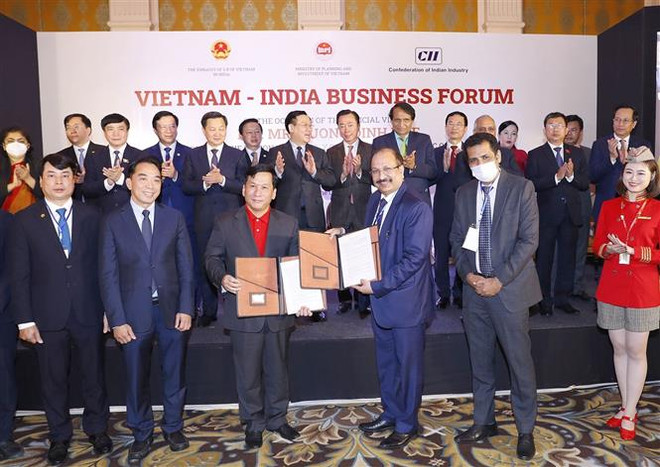 Relaciones económicas entre Vietnam y la India se desarrollan con fuerza  ảnh 2 Relaciones económicas entre Vietnam y la India se desarrollan con fuerza  ảnh 2