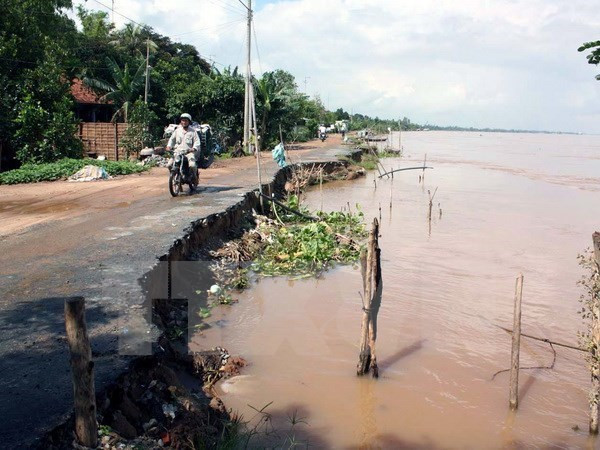 Aplican en Vietnam soluciones basadas en la naturaleza para el cambio climático ảnh 2 Aplican en Vietnam soluciones basadas en la naturaleza para el cambio climático ảnh 2