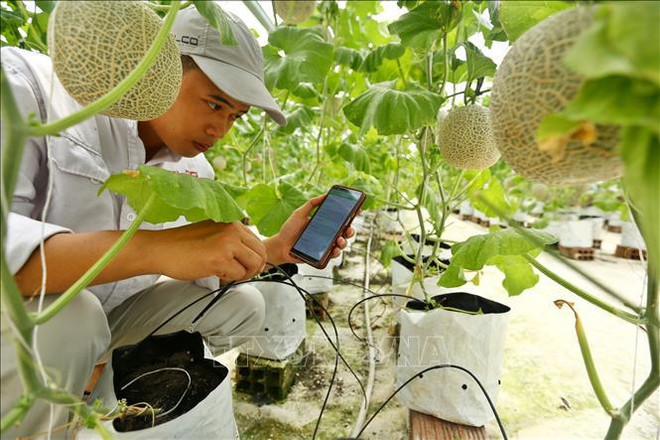 Tercera parte: Estrategia para el desarrollo de la ciencia, tecnología e innovación hasta 2030 ảnh 2 Tercera parte: Estrategia para el desarrollo de la ciencia, tecnología e innovación hasta 2030 ảnh 2