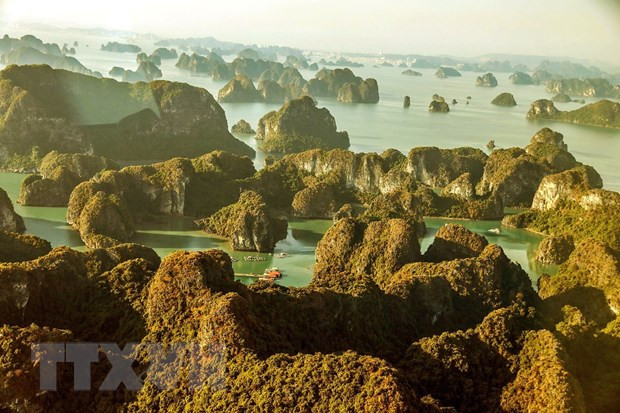 10 mejores actividades para explorar la bahía de Ha Long ảnh 1