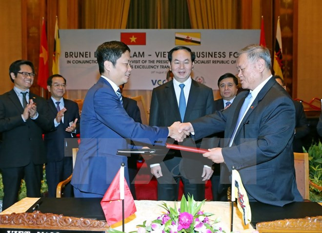 Vietnam y Brunei buscan medidas para intensificar la cooperación económica ảnh 1