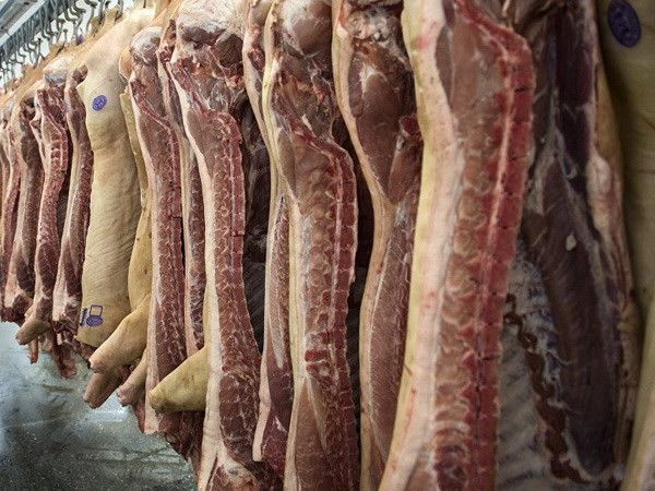 Empresa rusa exportará carne porcina a Vietnam ảnh 1 Empresa rusa exportará carne porcina a Vietnam ảnh 1