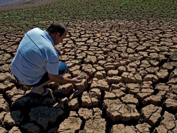Cooperan Vietnam y UE en lucha contra cambio climático ảnh 1 Cooperan Vietnam y UE en lucha contra cambio climático ảnh 1