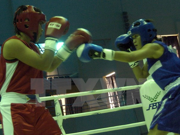 Crean federación de boxeo de Vietnam ảnh 1 Crean federación de boxeo de Vietnam ảnh 1