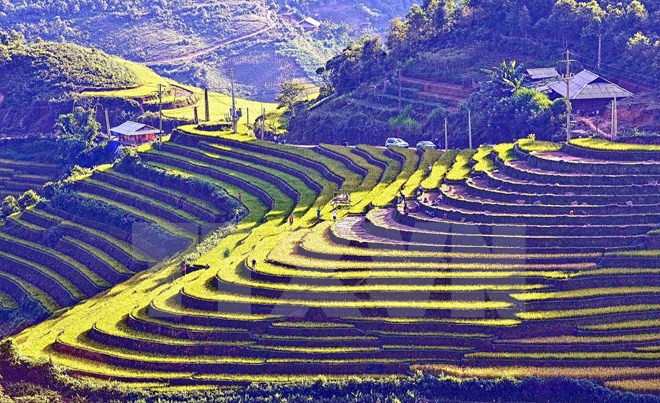 Inician Semana cultural de terrazas de Mu Cang Chai ảnh 1 Inician Semana cultural de terrazas de Mu Cang Chai ảnh 1
