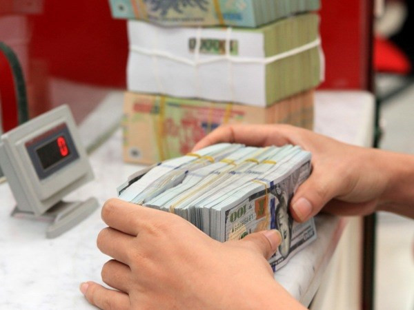 Ajustadas tasas de interés en dólar no genera pérdidas para empresas ảnh 1 Ajustadas tasas de interés en dólar no genera pérdidas para empresas ảnh 1