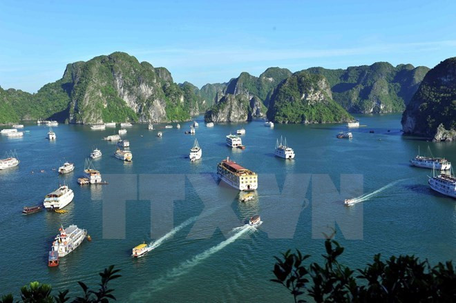 Impulsan crecimiento verde en la bahía de Ha Long ảnh 1 Impulsan crecimiento verde en la bahía de Ha Long ảnh 1