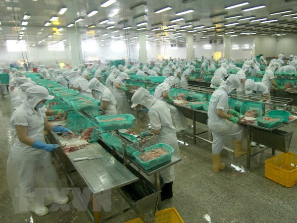 Estados Unidos reduce el impuesto antidumping al camarón vietnamita ảnh 1 Estados Unidos reduce el impuesto antidumping al camarón vietnamita ảnh 1