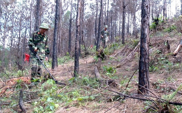 Vietnam y Corea del Sur cooperan para aliviar secuelas de bombas y minas de guerra ảnh 1  Vietnam y Corea del Sur cooperan para aliviar secuelas de bombas y minas de guerra ảnh 1