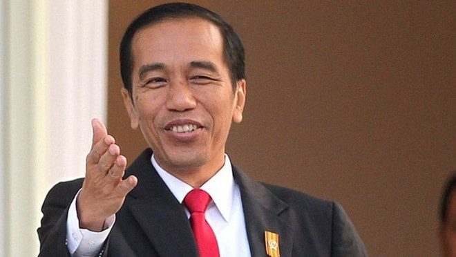 Presidente de Indonesia comenzará hoy visita estatal a Vietnam ảnh 1