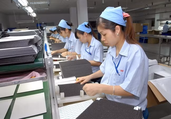 Optimistas jóvenes en ASEAN sobre efectos de tecnología a empleo ảnh 1