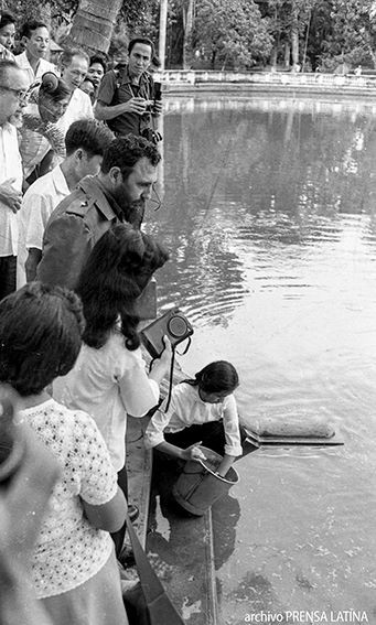 Fidel y Ho Chi Minh, un encuentro que ni la muerte pudo impedir ảnh 6 Fidel y Ho Chi Minh, un encuentro que ni la muerte pudo impedir ảnh 6