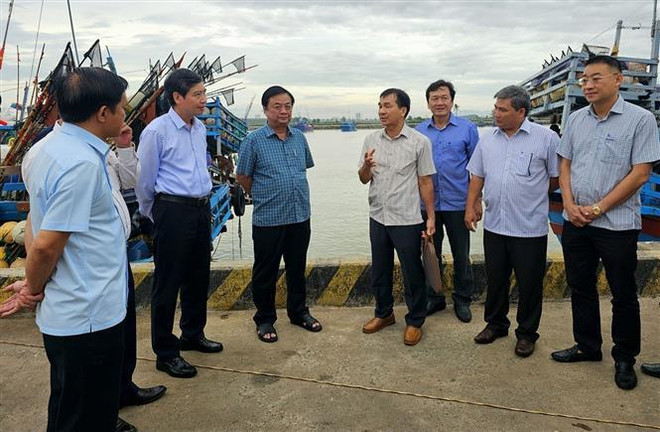 Inspeccionan combate contra IUU y prevención de desastres en Phu Yen ảnh 1 Inspeccionan combate contra IUU y prevención de desastres en Phu Yen ảnh 1