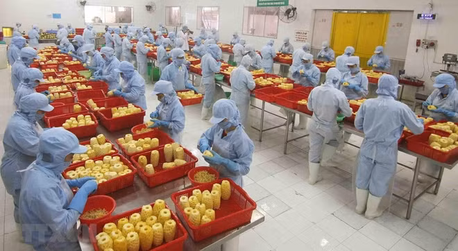 Vietnam fortalece la atracción de inversión extranjera directa ảnh 2