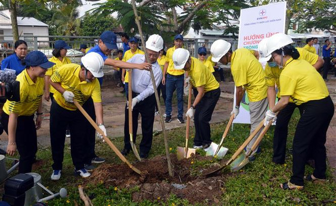 Lanzan en provincia vietnamita programa de plantación de árboles ảnh 1