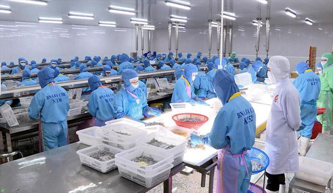 Vietnam aprovecha con eficiencia acuerdos de libre comercio con socios extranjeros ảnh 1 Vietnam aprovecha con eficiencia acuerdos de libre comercio con socios extranjeros ảnh 1