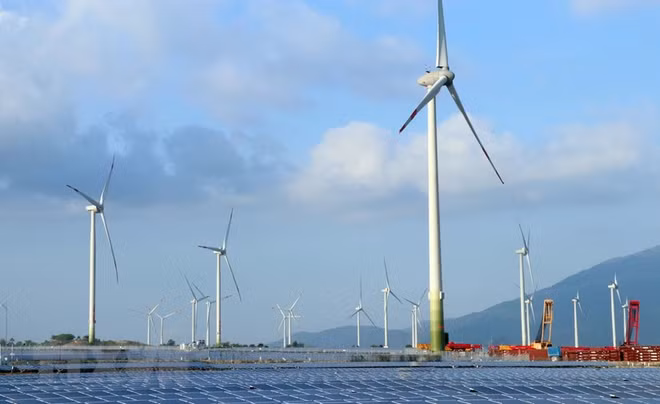 Entra en función mayor planta de energía eólica de Vietnam ảnh 1