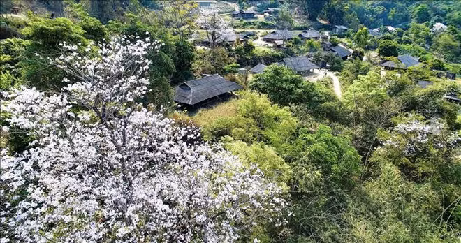 Belleza de región noroeste de Vietnam asombra a visitantes ảnh 2 Belleza de región noroeste de Vietnam asombra a visitantes ảnh 2