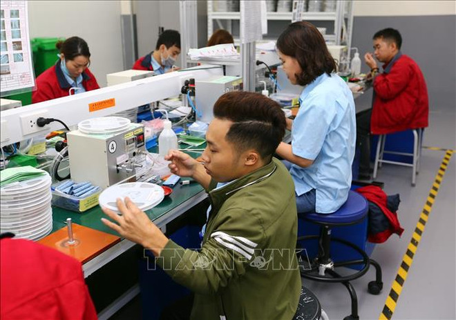 Promueven en Vietnam participación política de personas con discapacidad ảnh 1 Promueven en Vietnam participación política de personas con discapacidad ảnh 1