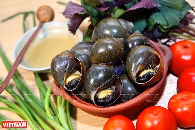 [Foto] Bun oc, un auténtico plato de Hanoi ảnh 3