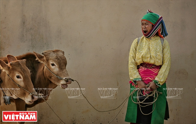 [Fotos] Región del Noroeste de Vietnam a través de la cámara de Nguyen Huu Thong ảnh 15