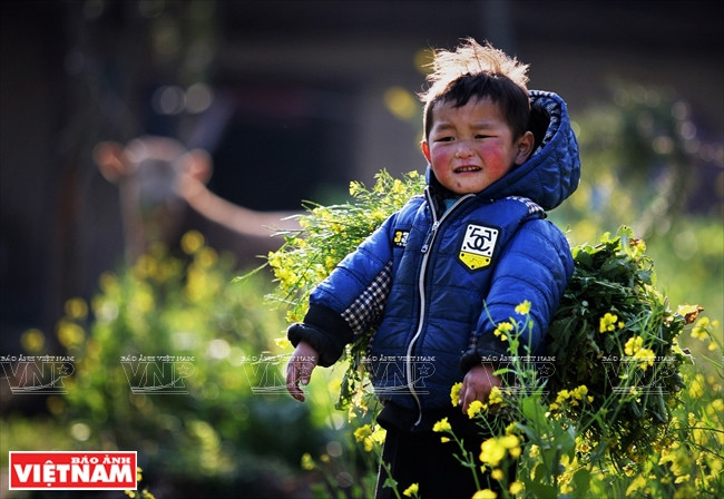 [Fotos] Región del Noroeste de Vietnam a través de la cámara de Nguyen Huu Thong ảnh 6