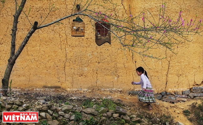 [Fotos] Región del Noroeste de Vietnam a través de la cámara de Nguyen Huu Thong ảnh 13