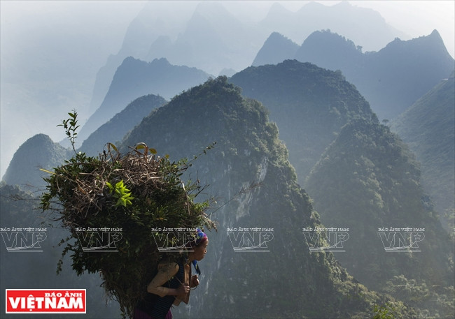 [Fotos] Región del Noroeste de Vietnam a través de la cámara de Nguyen Huu Thong ảnh 14