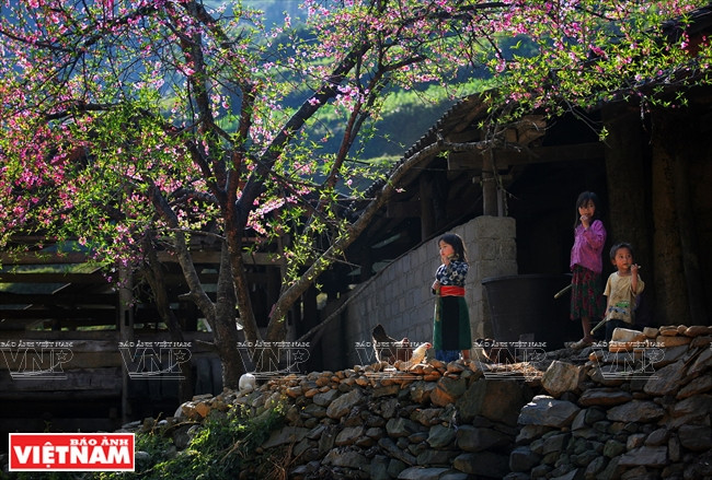 [Fotos] Región del Noroeste de Vietnam a través de la cámara de Nguyen Huu Thong ảnh 7