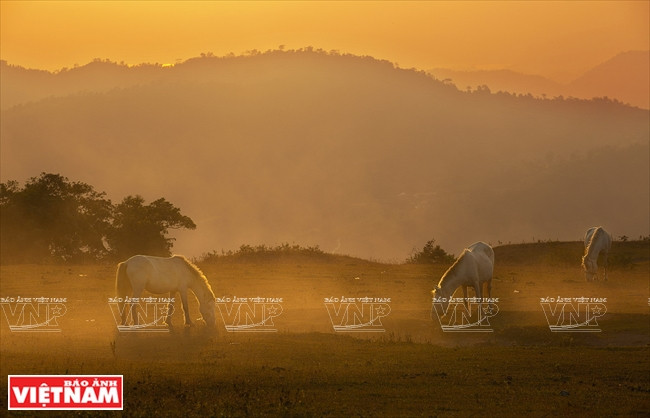 [Fotos] Región del Noroeste de Vietnam a través de la cámara de Nguyen Huu Thong ảnh 1